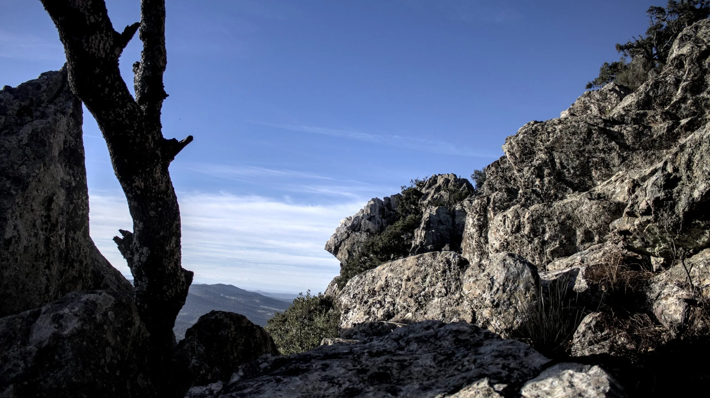 Árbol en silueta sobre una cresta rocosa