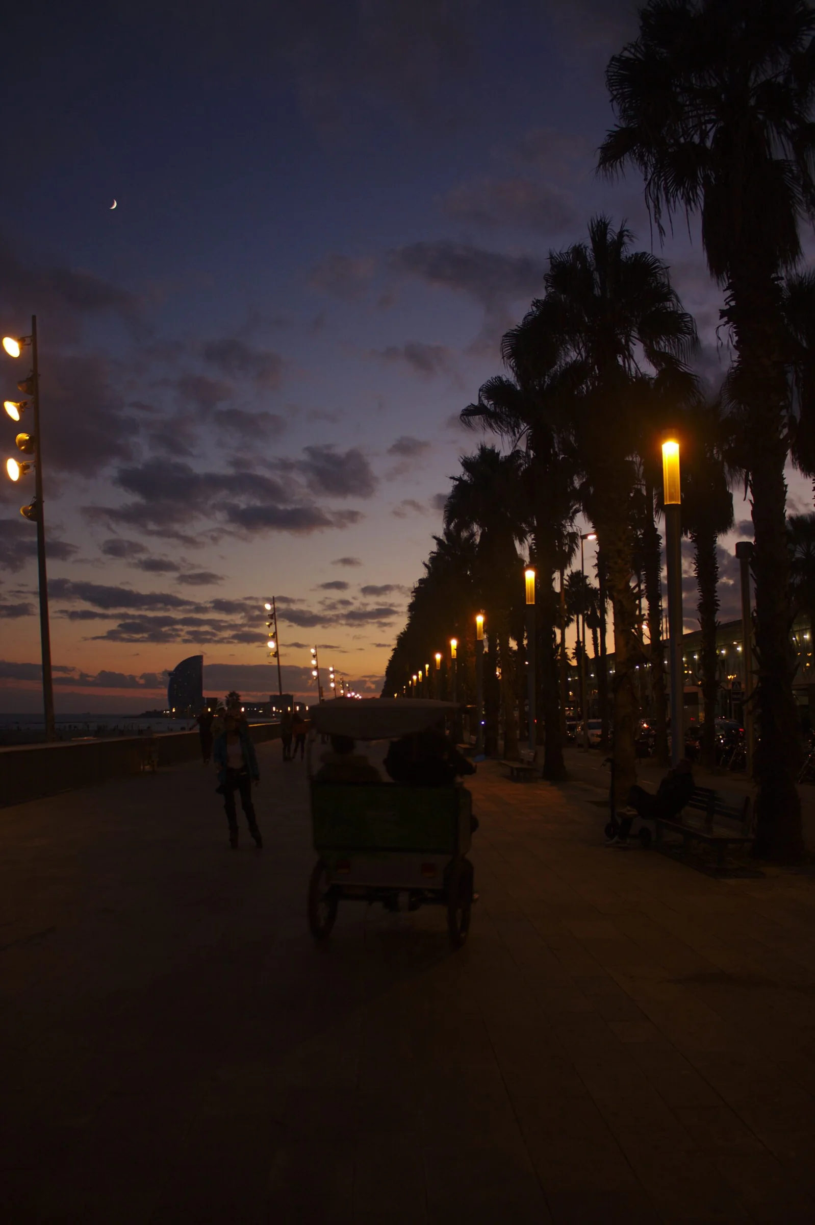 Paseo marítimo urbano con palmeras y luces al anochecer
